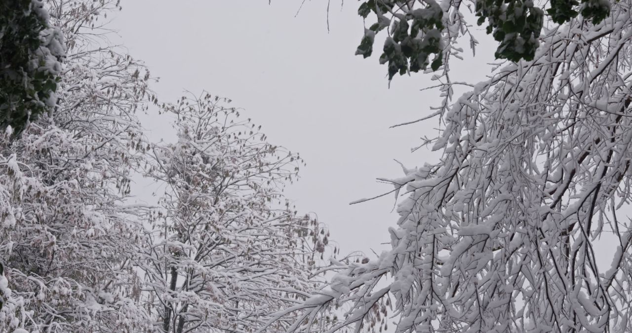 湖南长沙岳麓山爱晚亭城市雪景风光 16