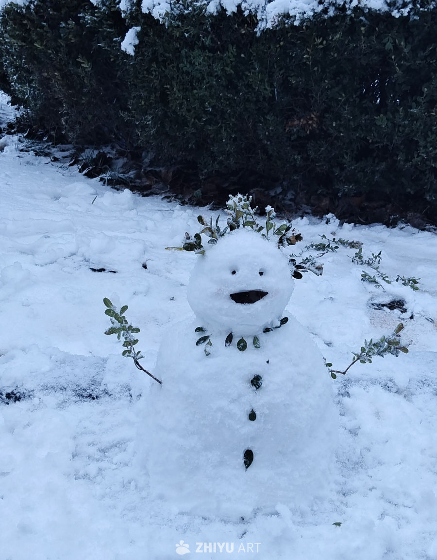 带点生机的冬天