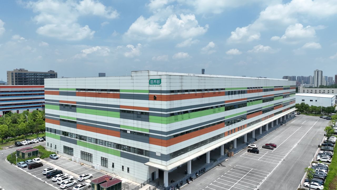 高楼 6