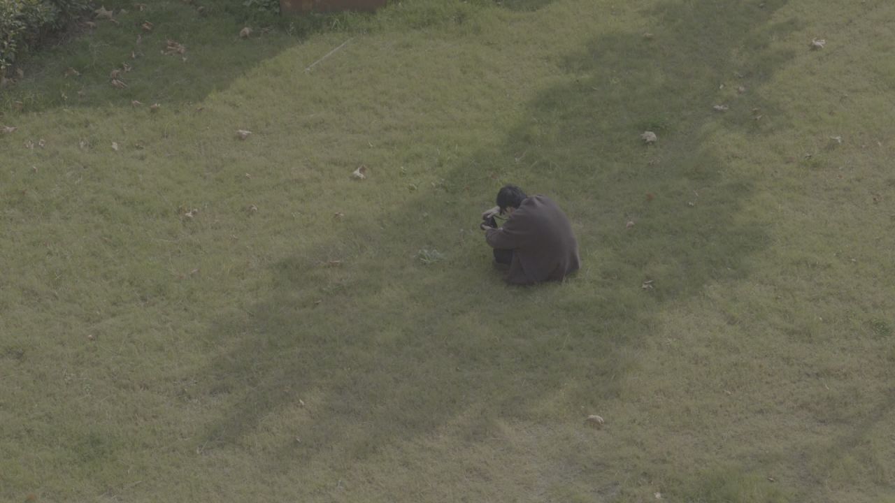 草地闲暇时光