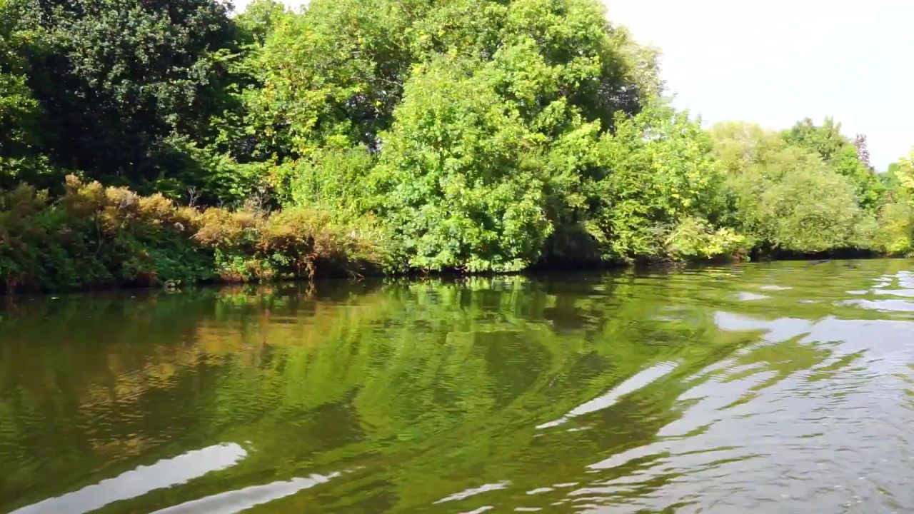 河船水湖夏天