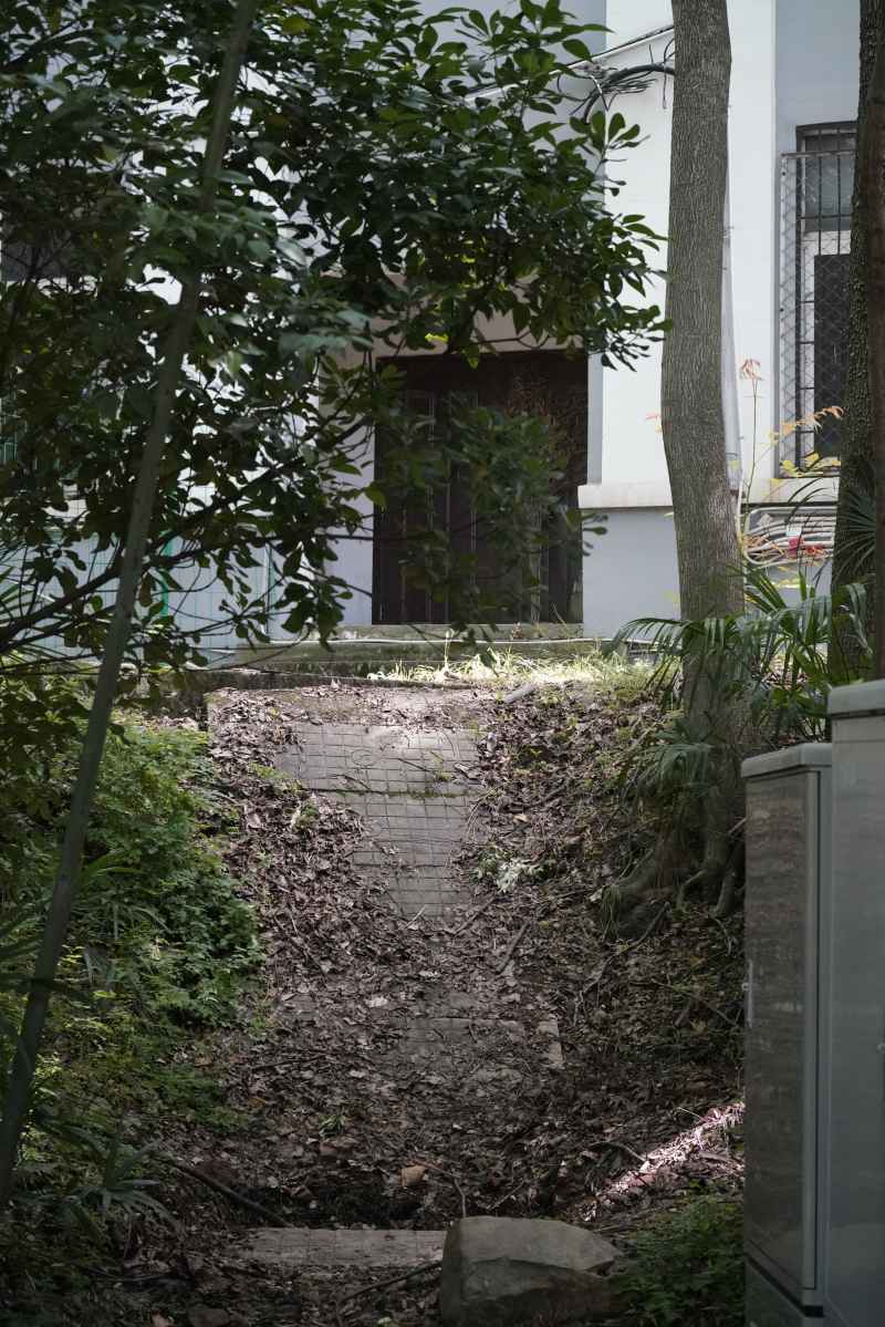 武汉大学
