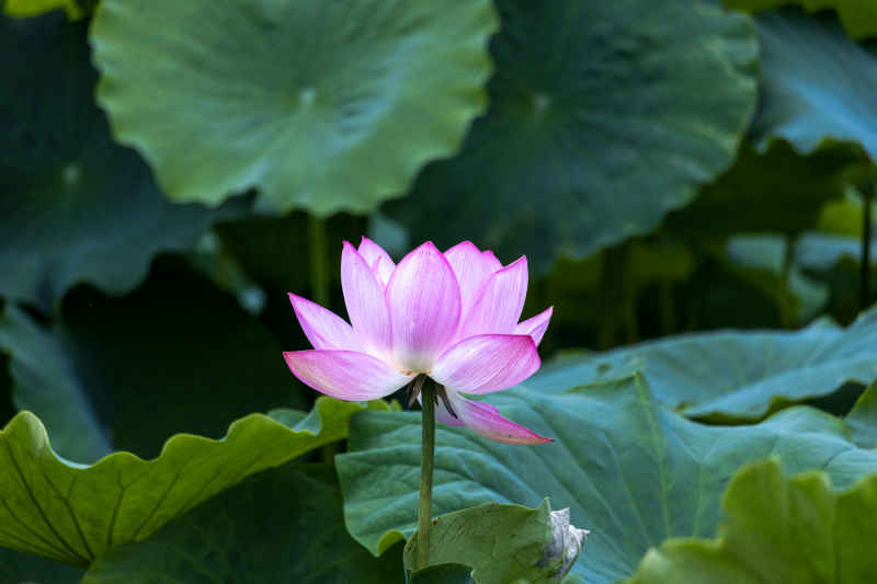 IMG_0414 拷贝