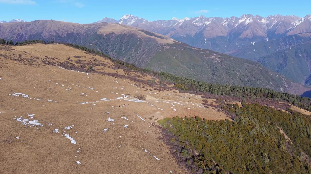 理县猛古雪山 7