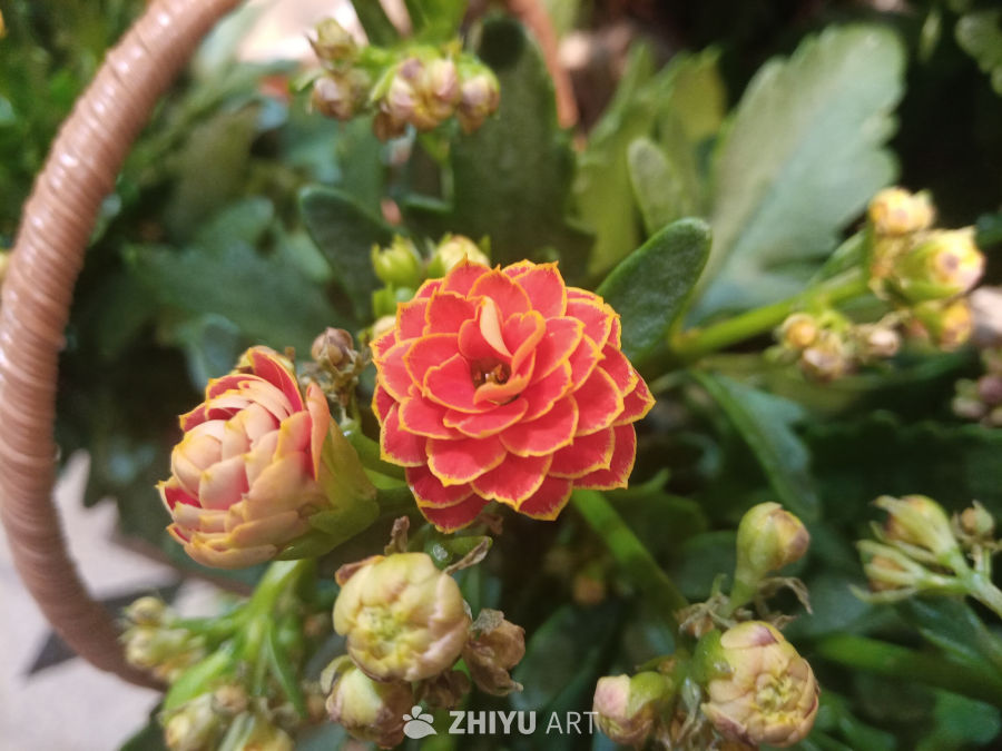 花