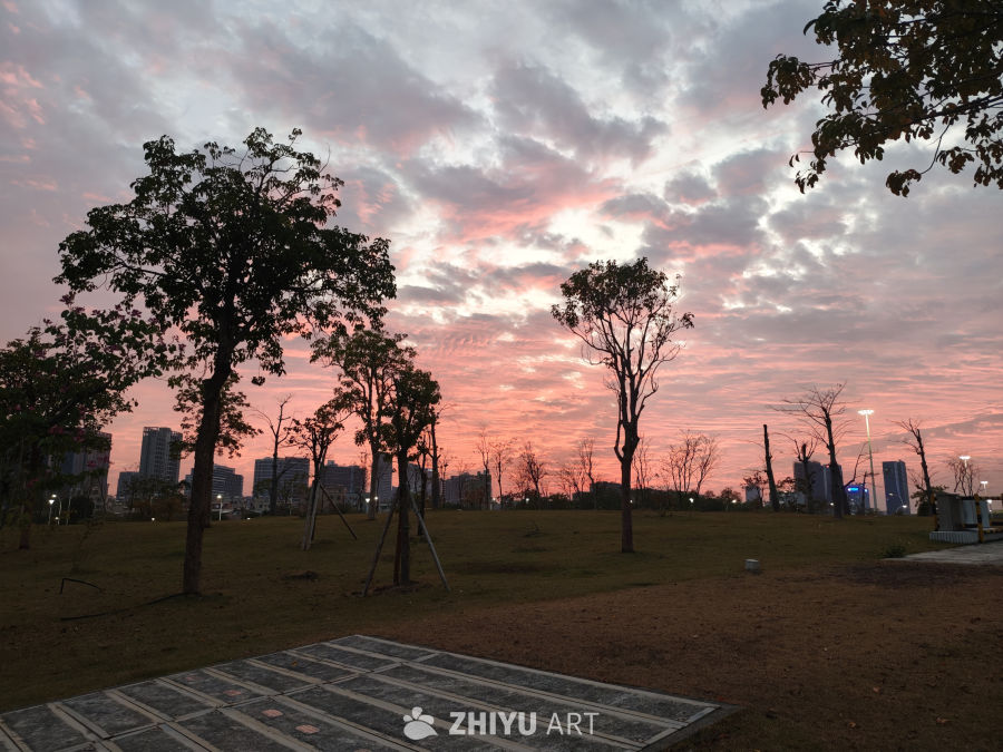 黄昏公园的城市剪影