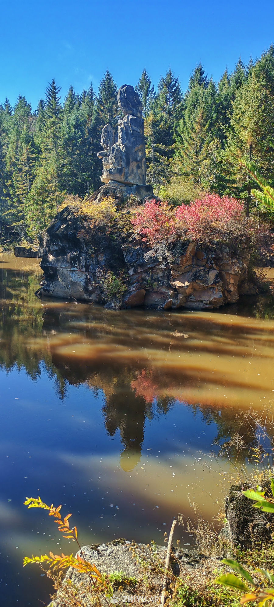 秋湖石影 红树幽潭的静美协奏
