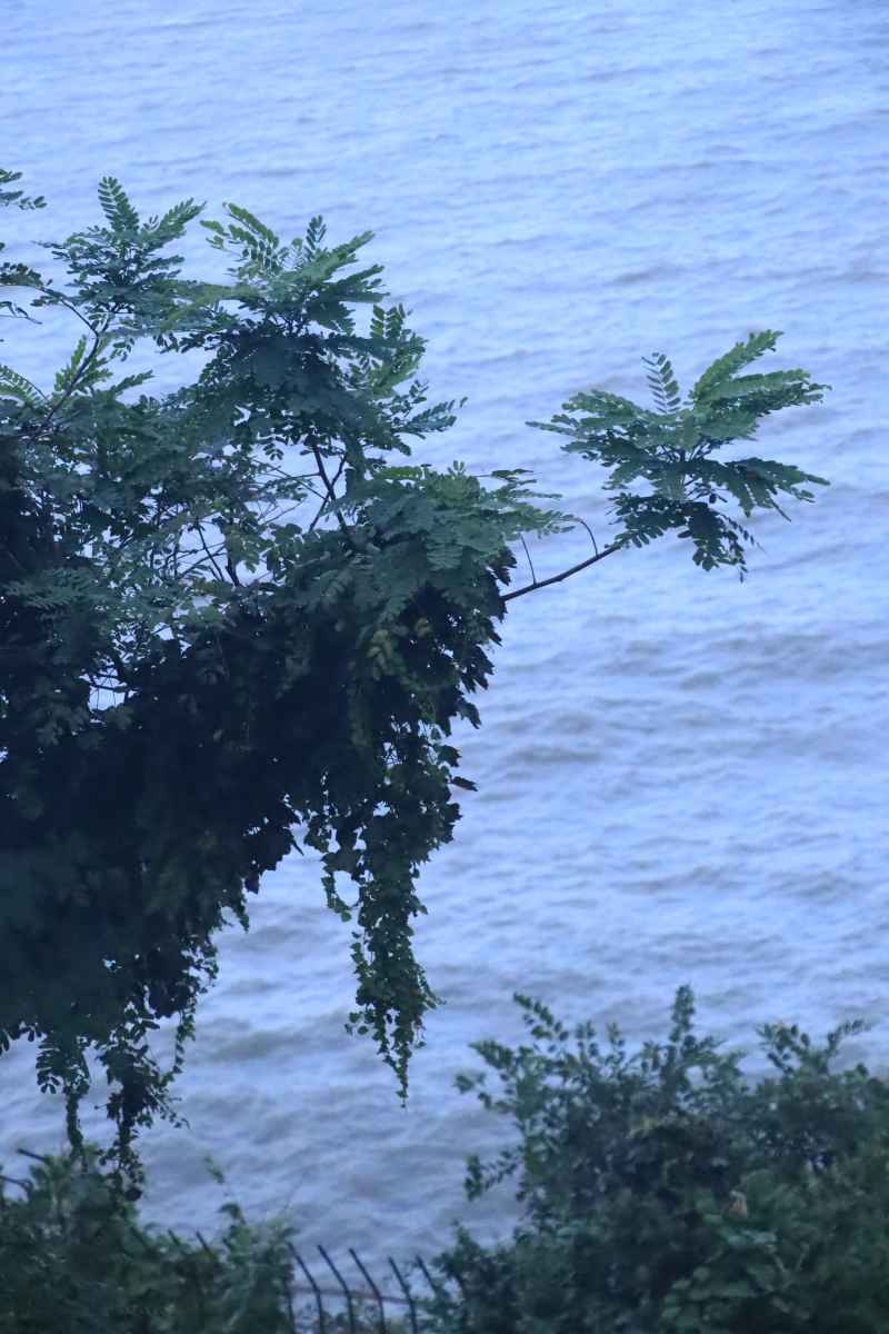 海滨