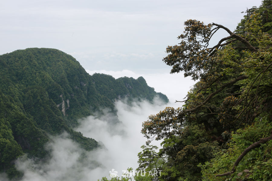 云海山峦