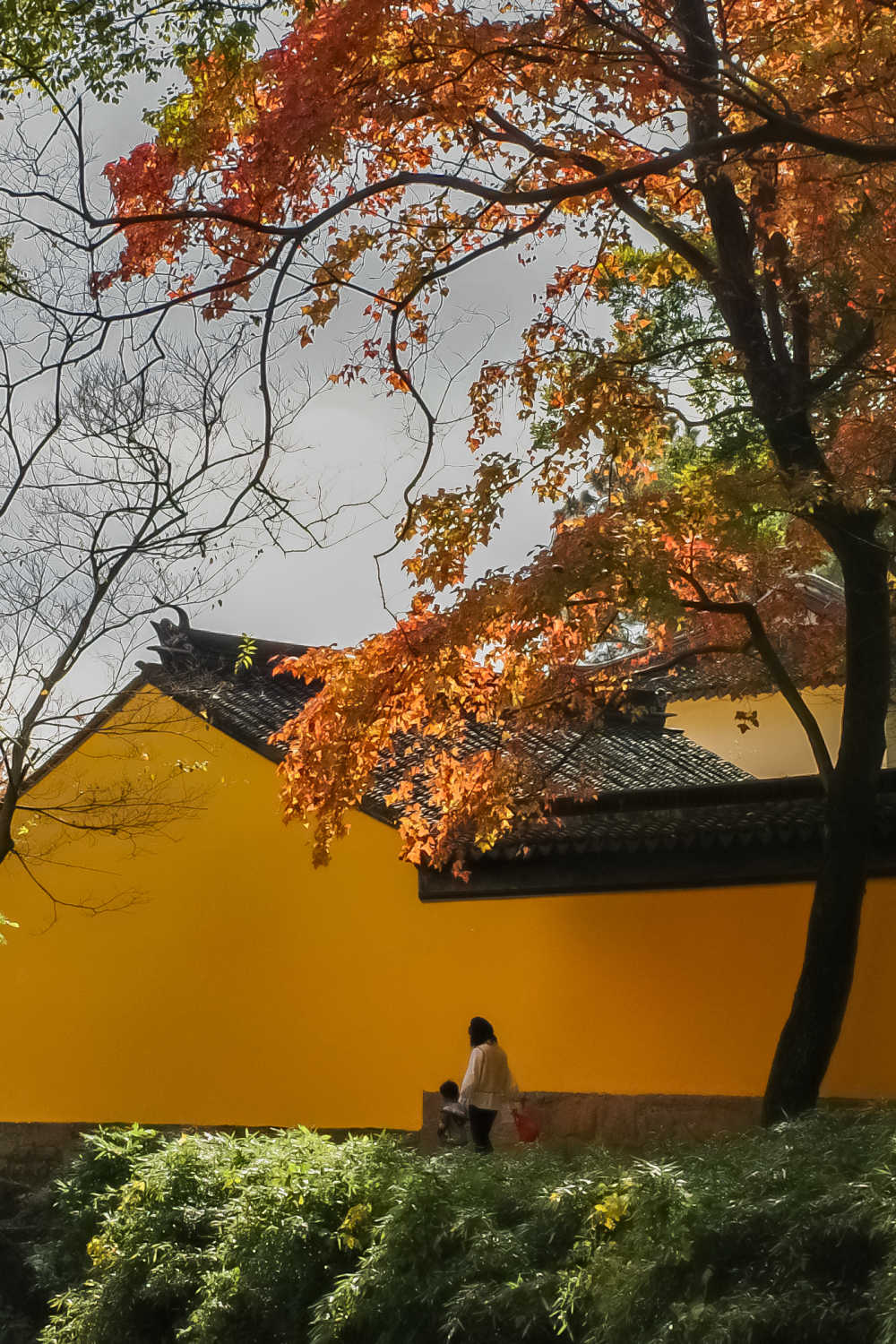 苏州天平山