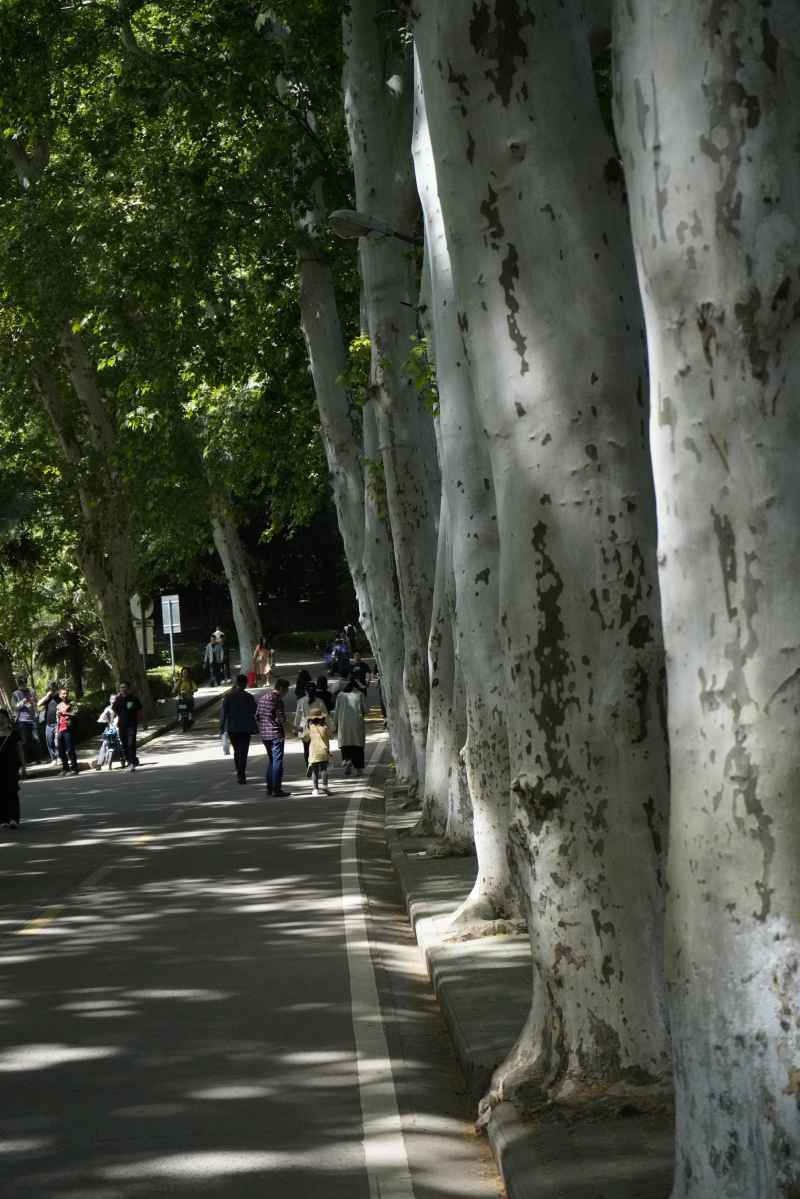 武汉大学