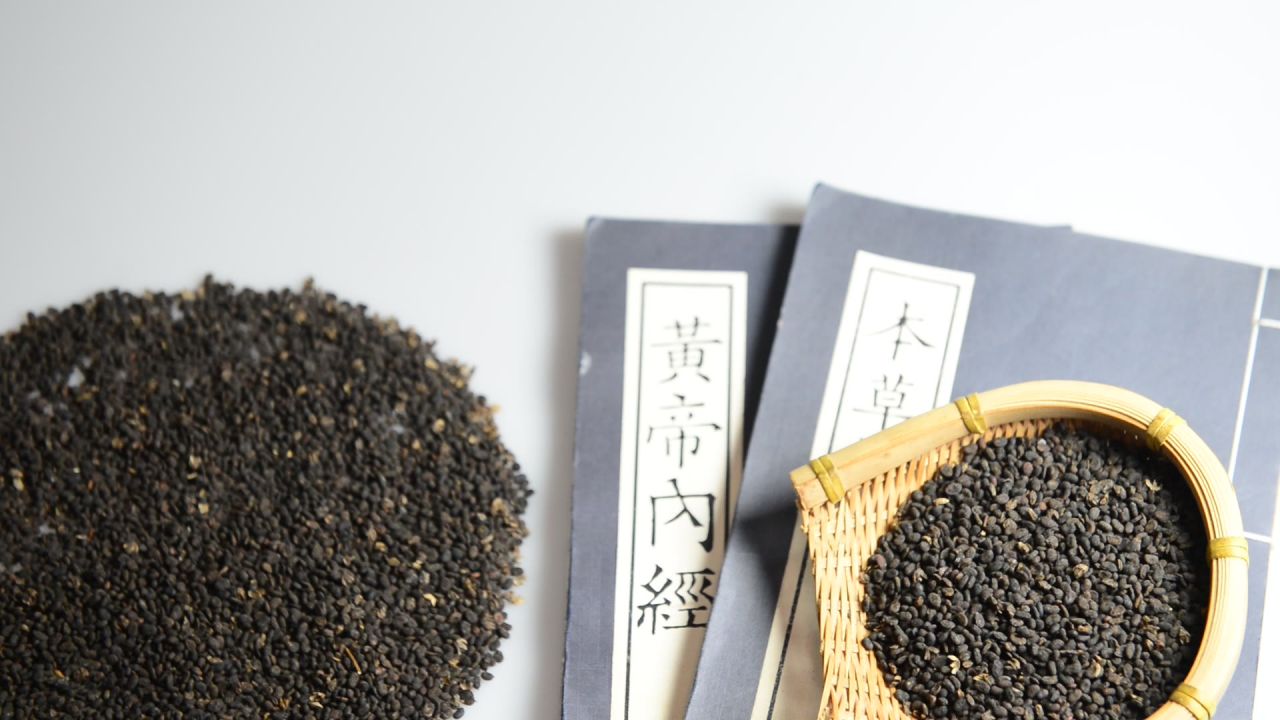中药材补骨脂 12