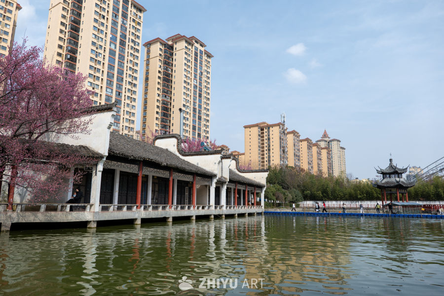 苏景园 41