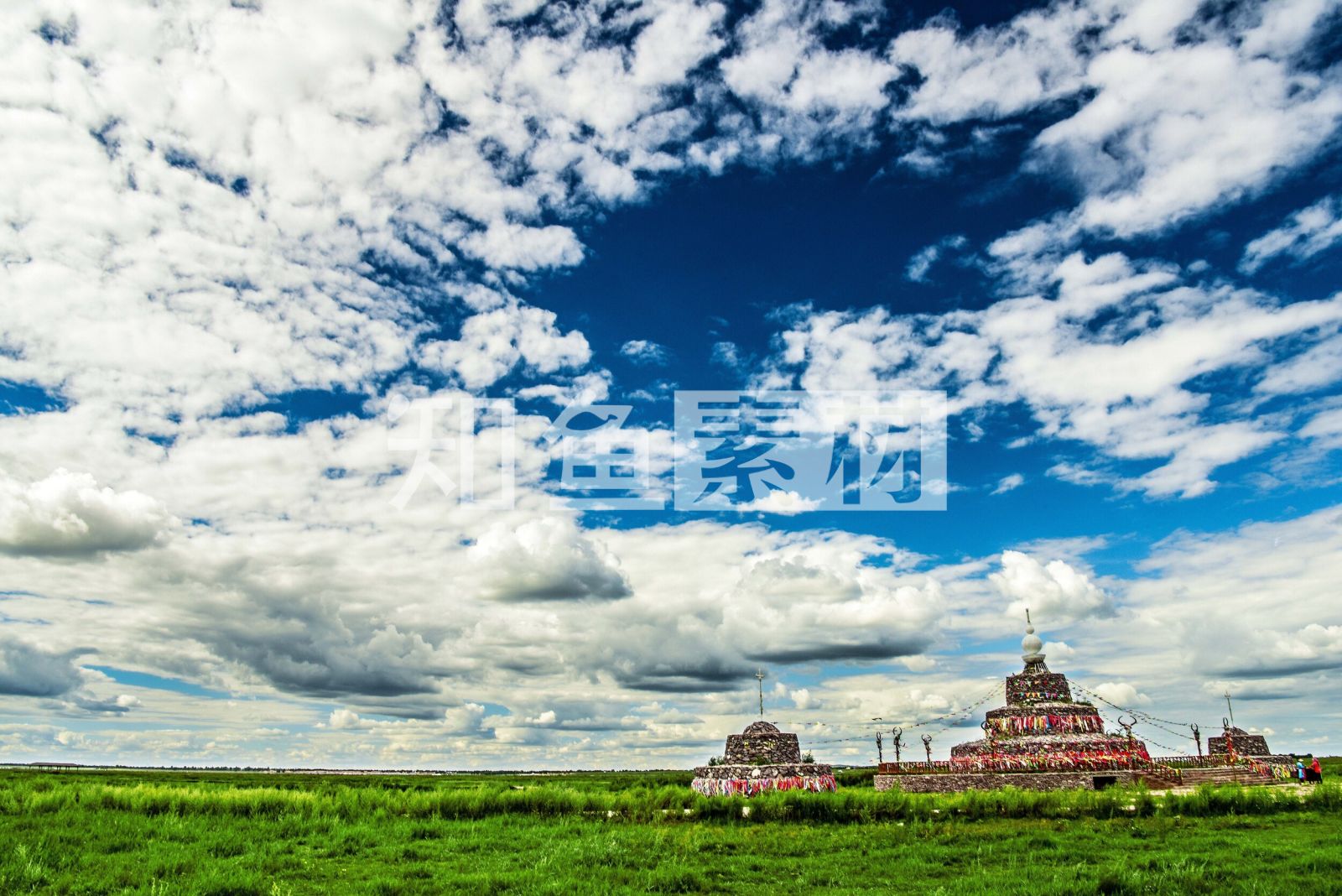 2019张北坝上草原_旅游攻略_门票_地址_游记点评,张北旅游景点推荐 - 去哪儿攻略社区