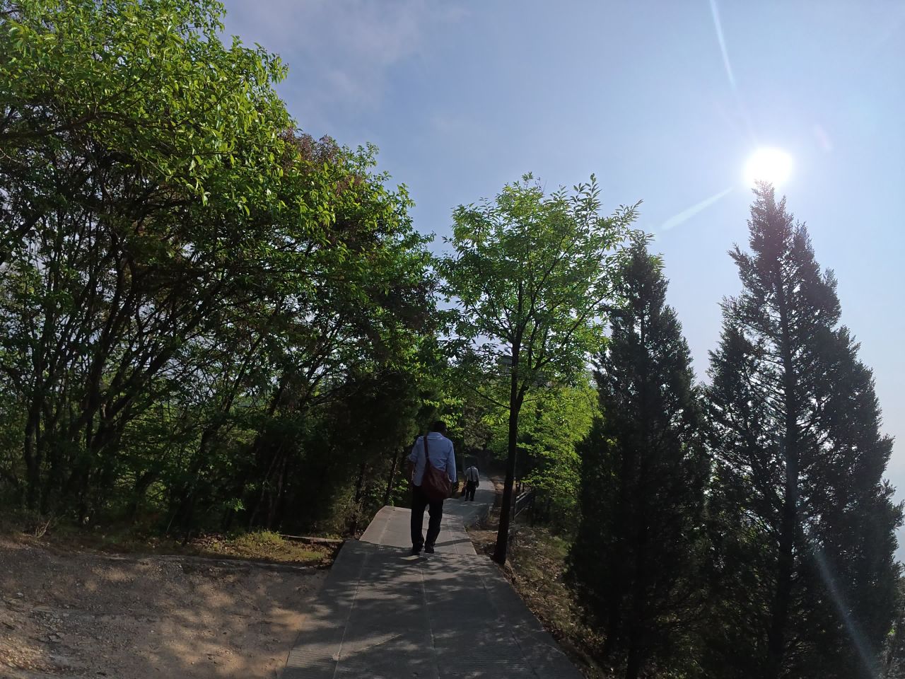 森林漫步