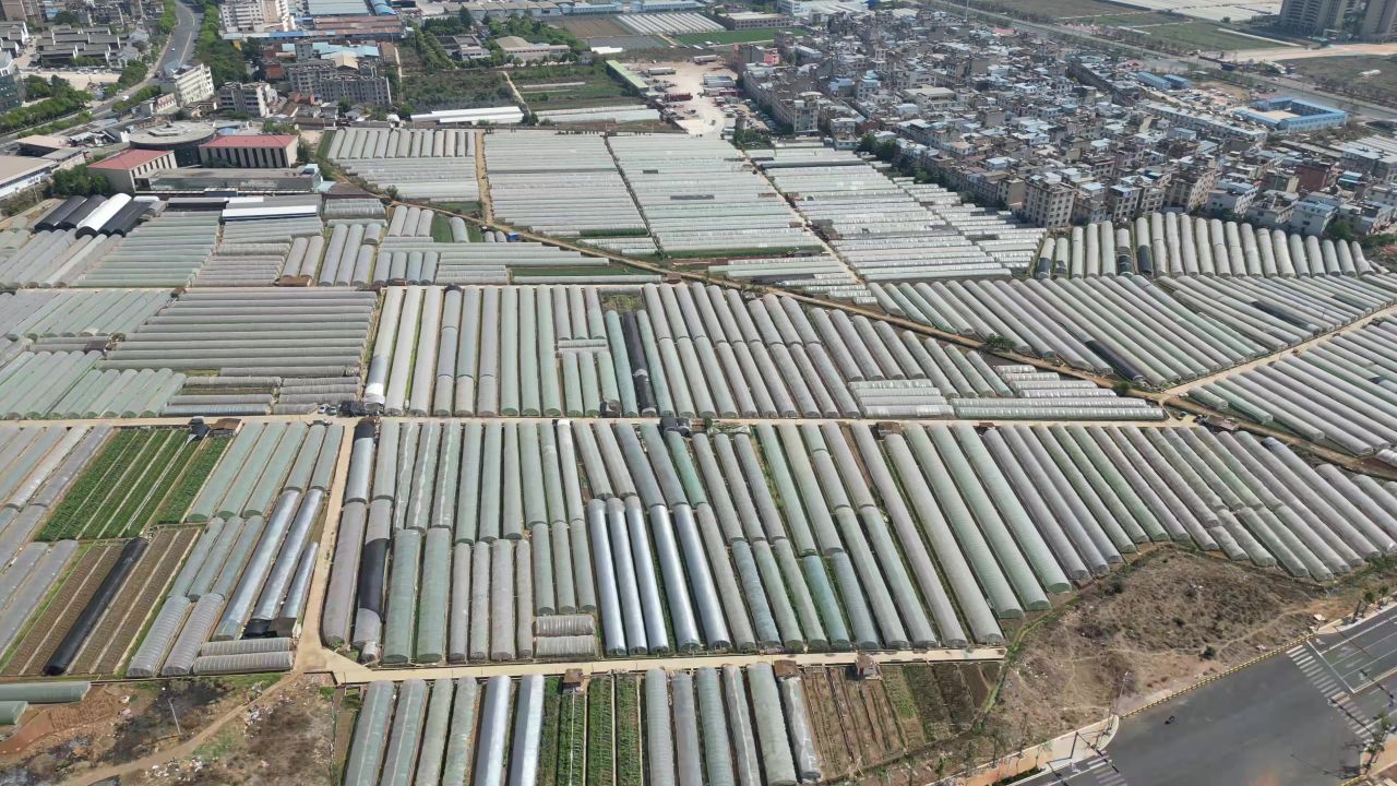 云南昆明鲜花种植基地航拍