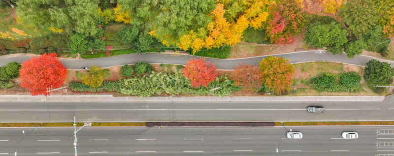 昆山道路上的秋冬景色 13