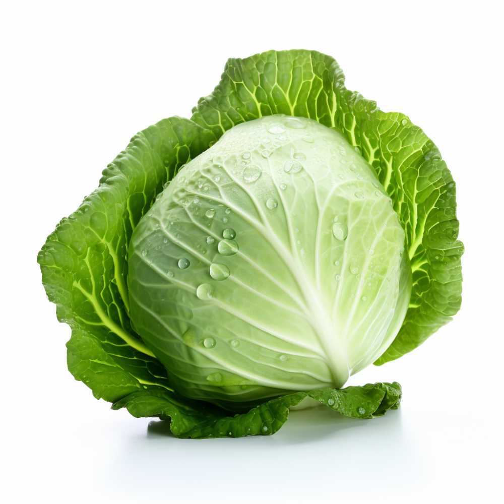 摄影元素