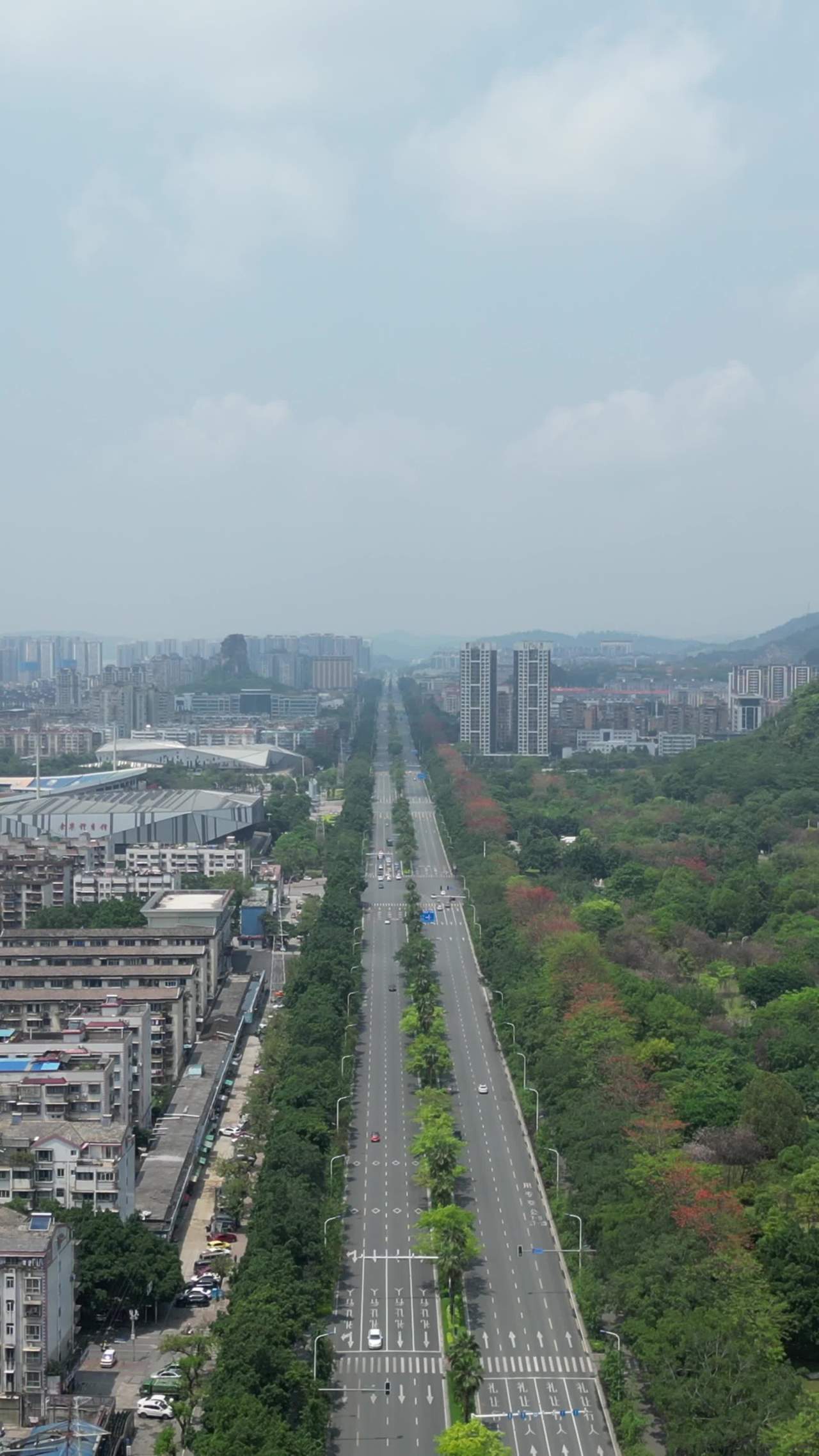 城市大道全景