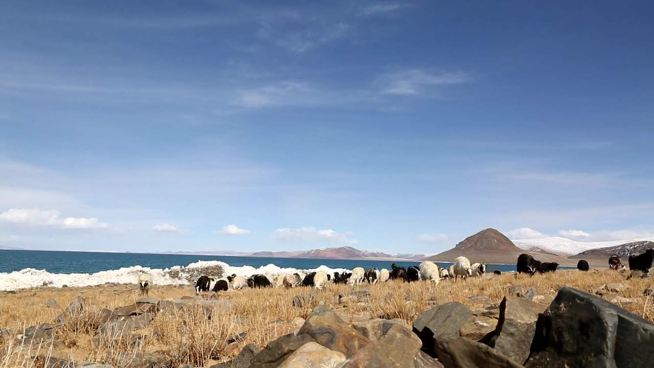 西藏风景
