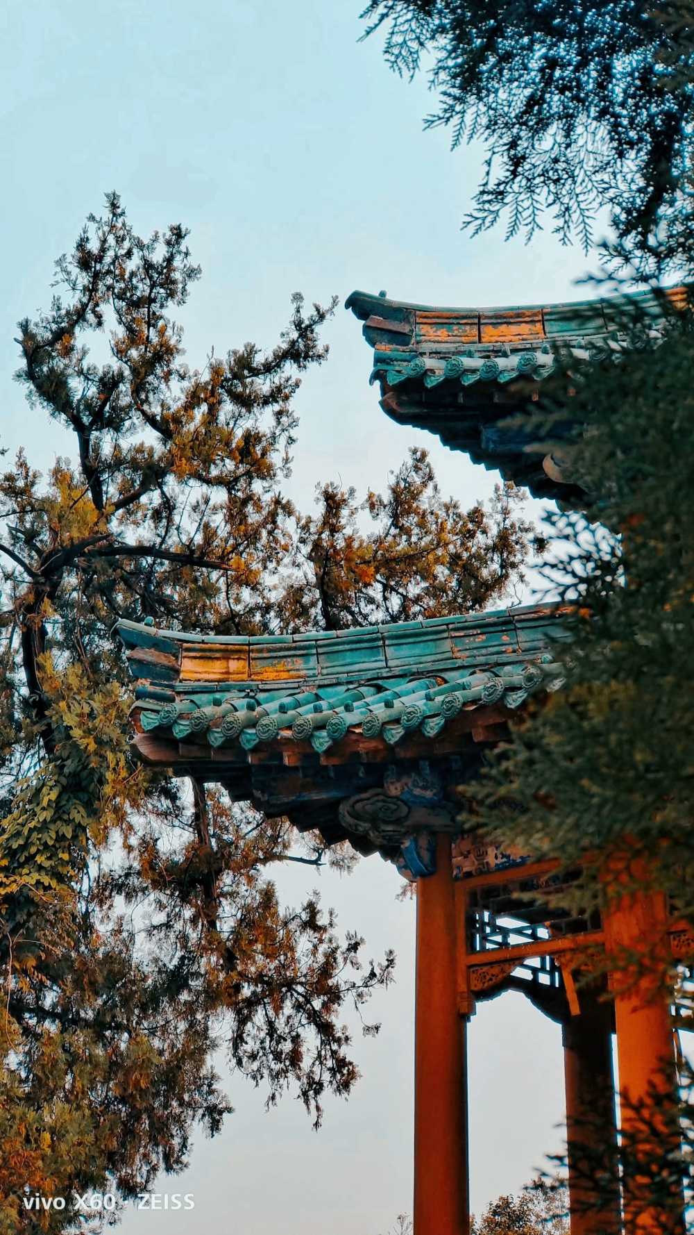 盛夏凉亭