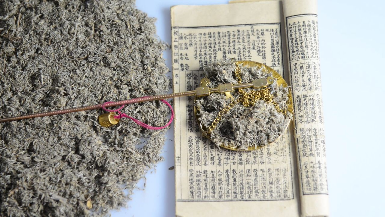 中药材茵陈 28