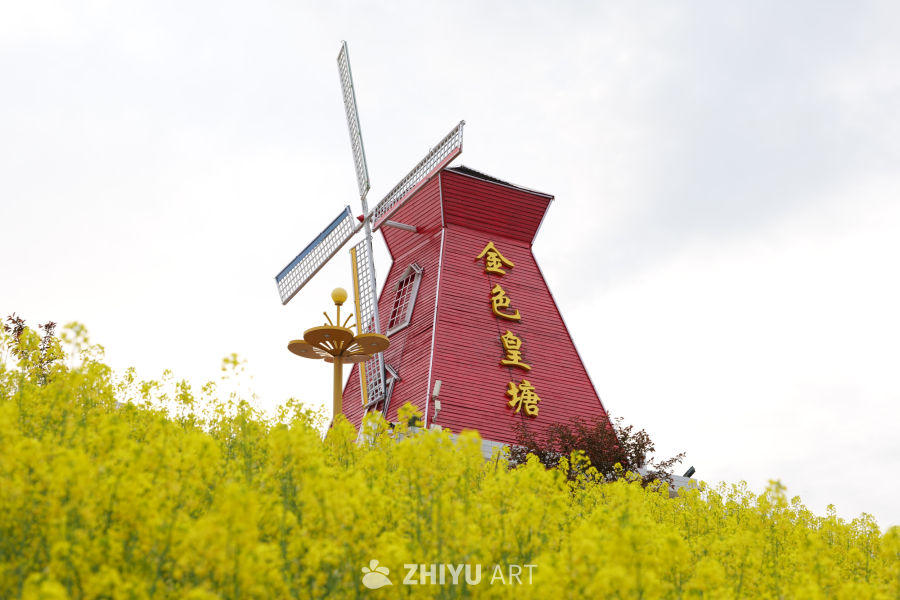 油菜花海 9