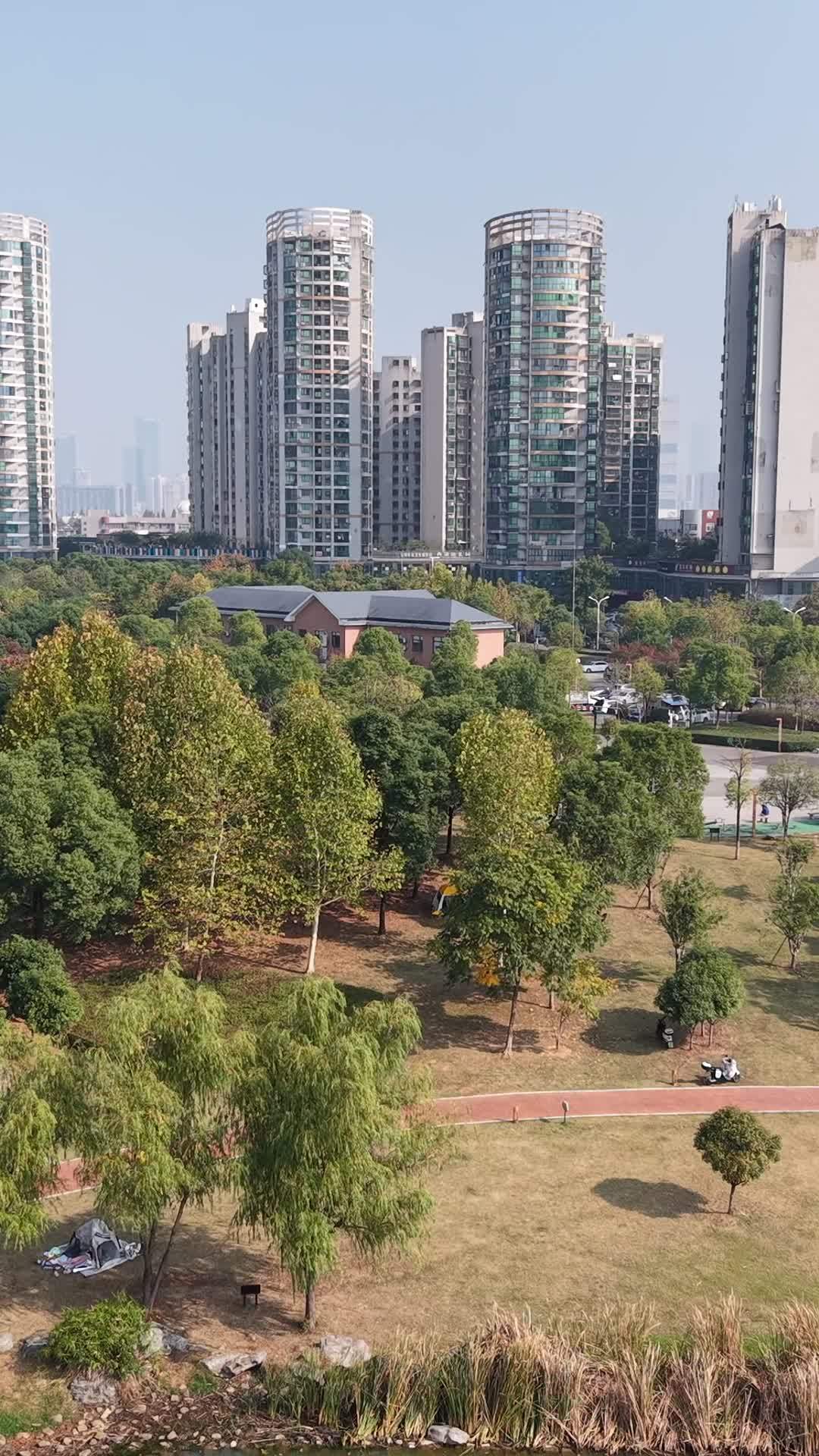 城市中的绿洲