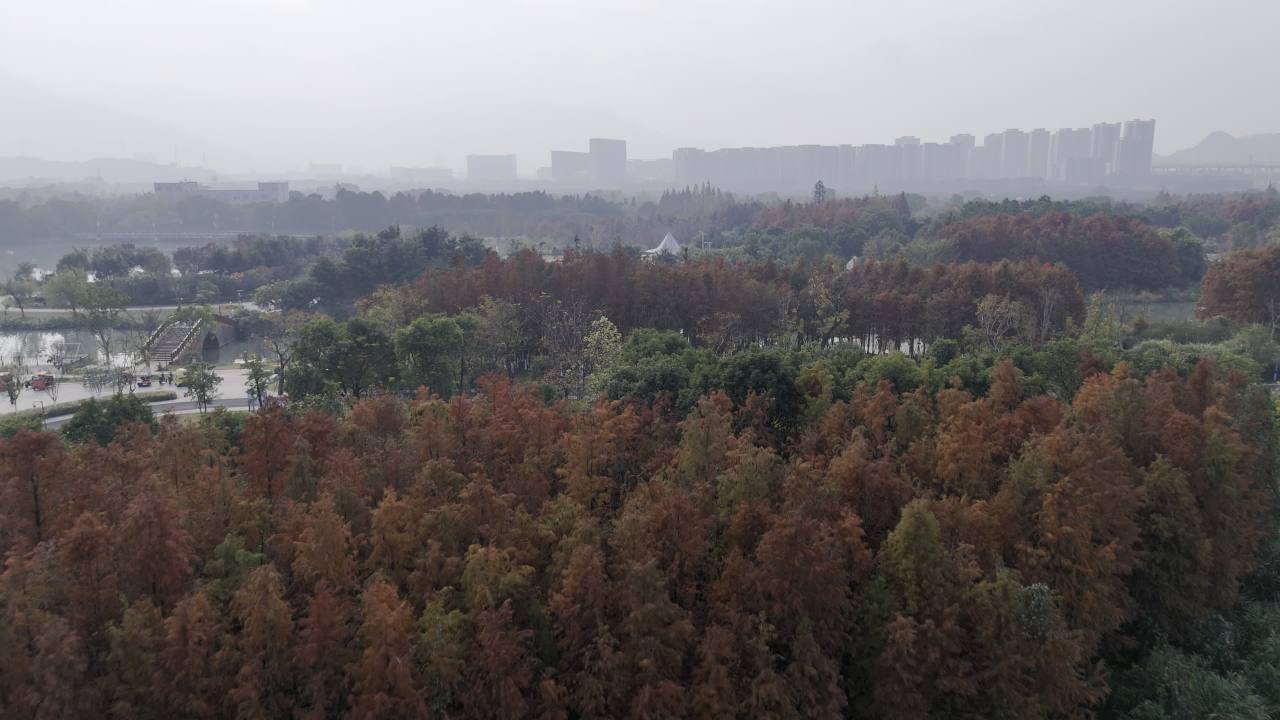 冬日的湿地 6