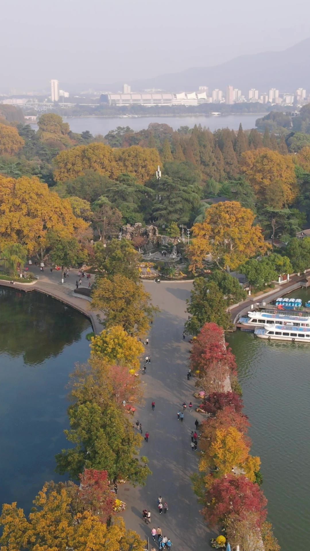 旅游景区南京玄武湖秋天竖屏