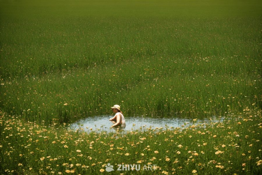 花海 20