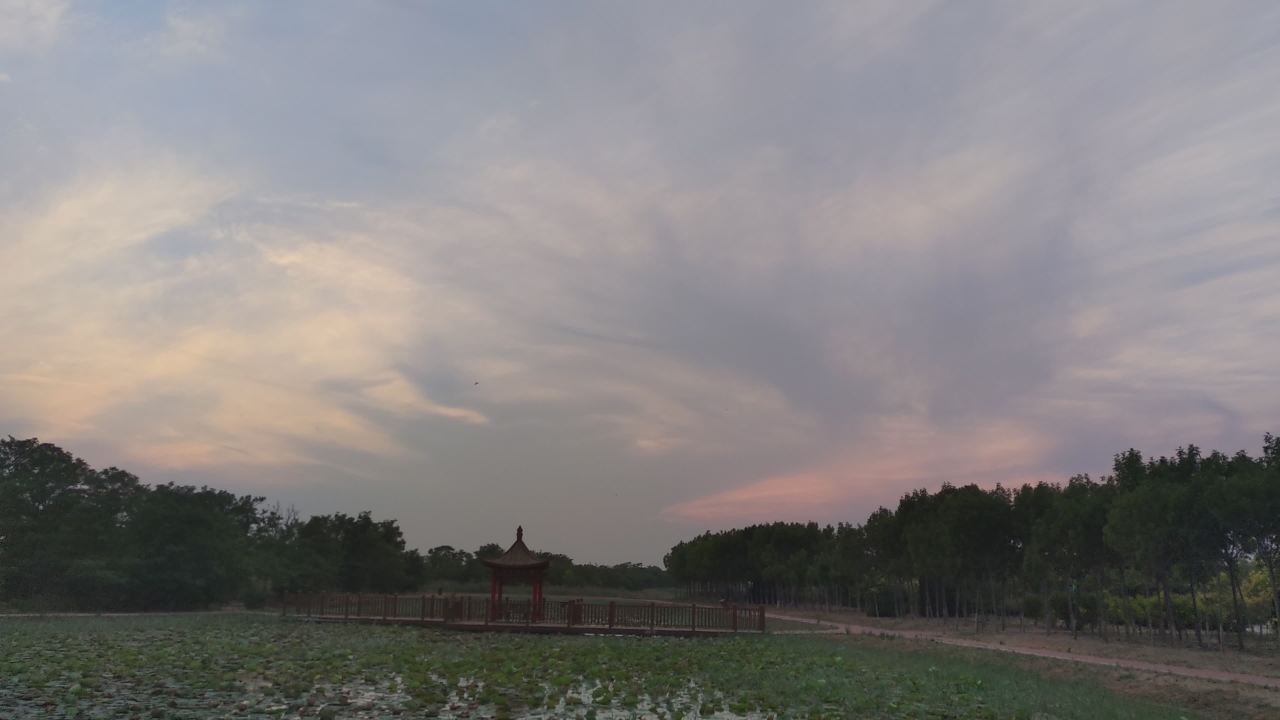 湿地 25