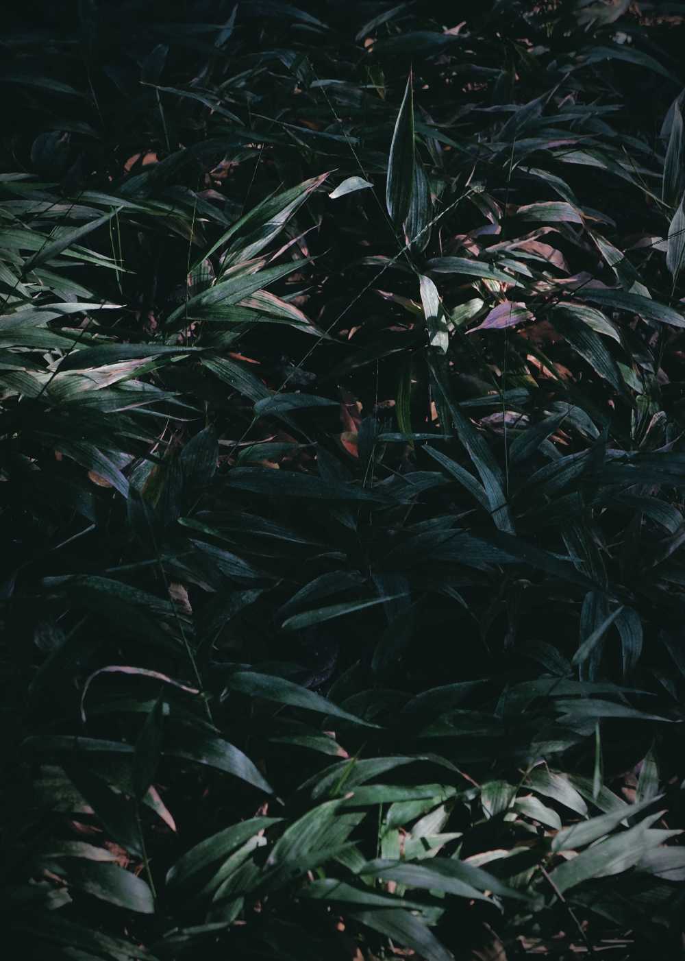 随笔