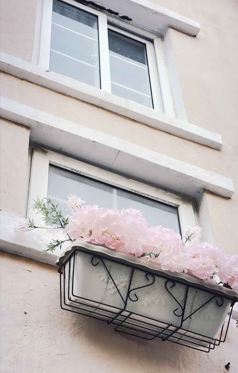 建筑与花