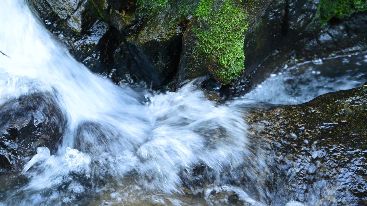 4K溪水河流自然流水大自然