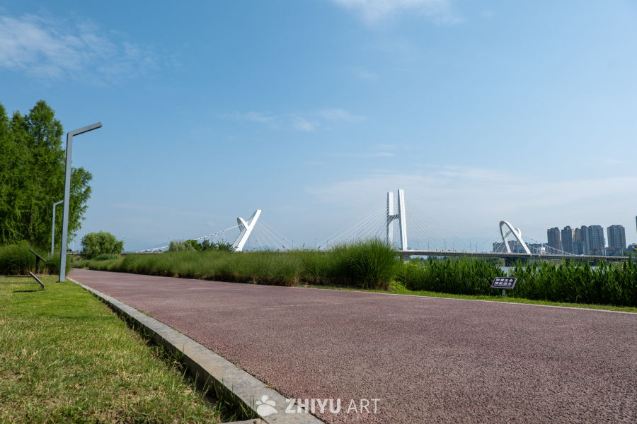 湿地公园一角 9