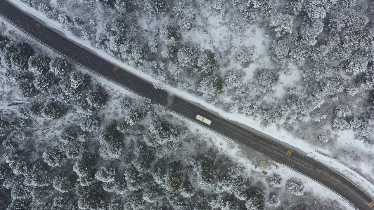 航拍汽车行驶在大雪纷飞的鲁朗林海中的川藏公路上