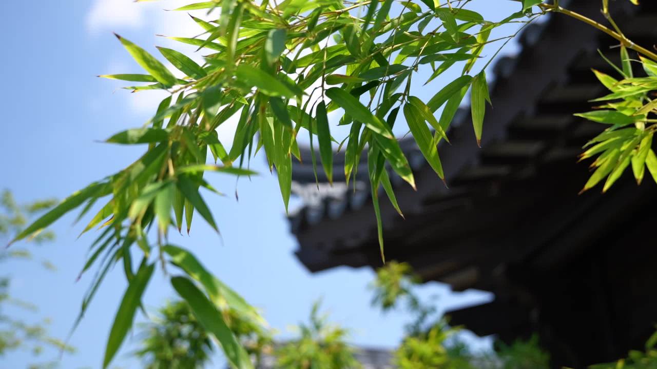 飞檐戗角