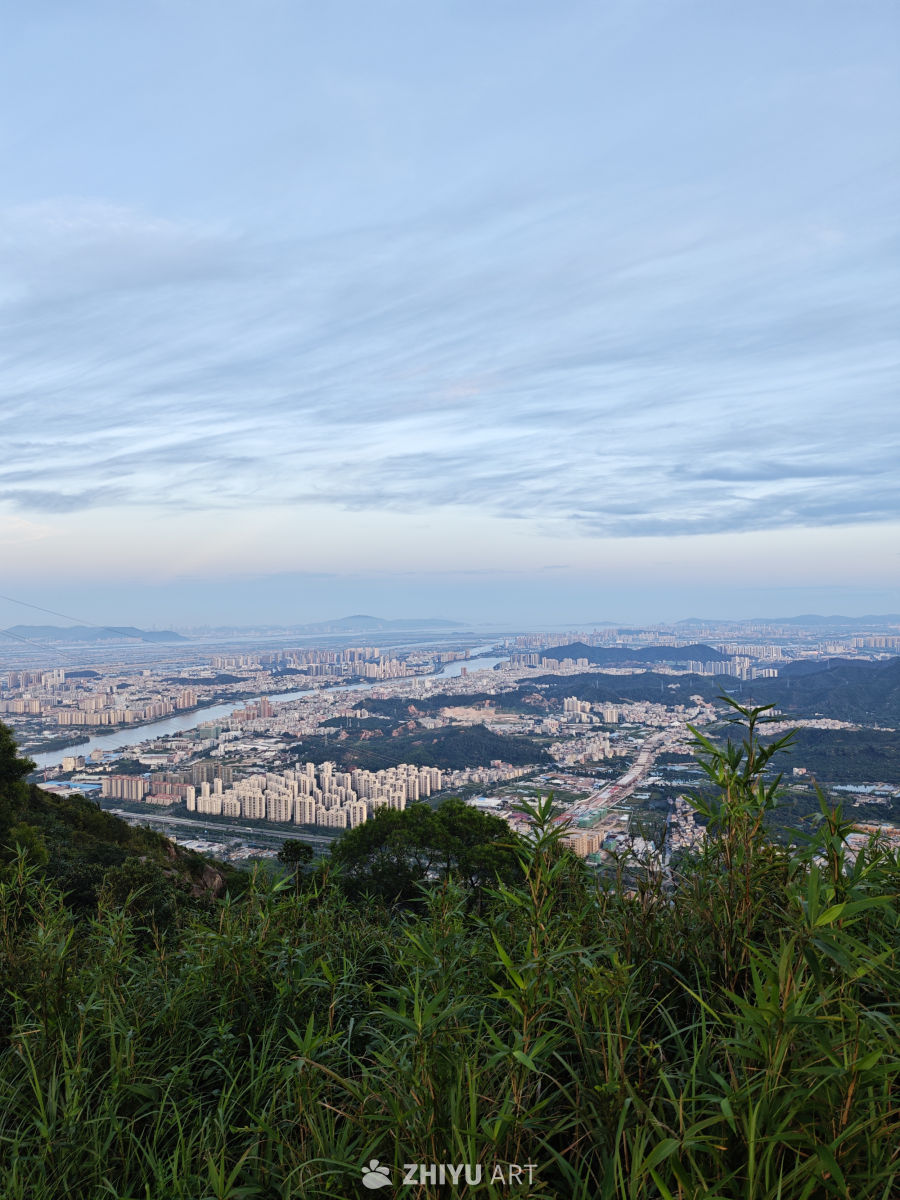 城市全景俯瞰图