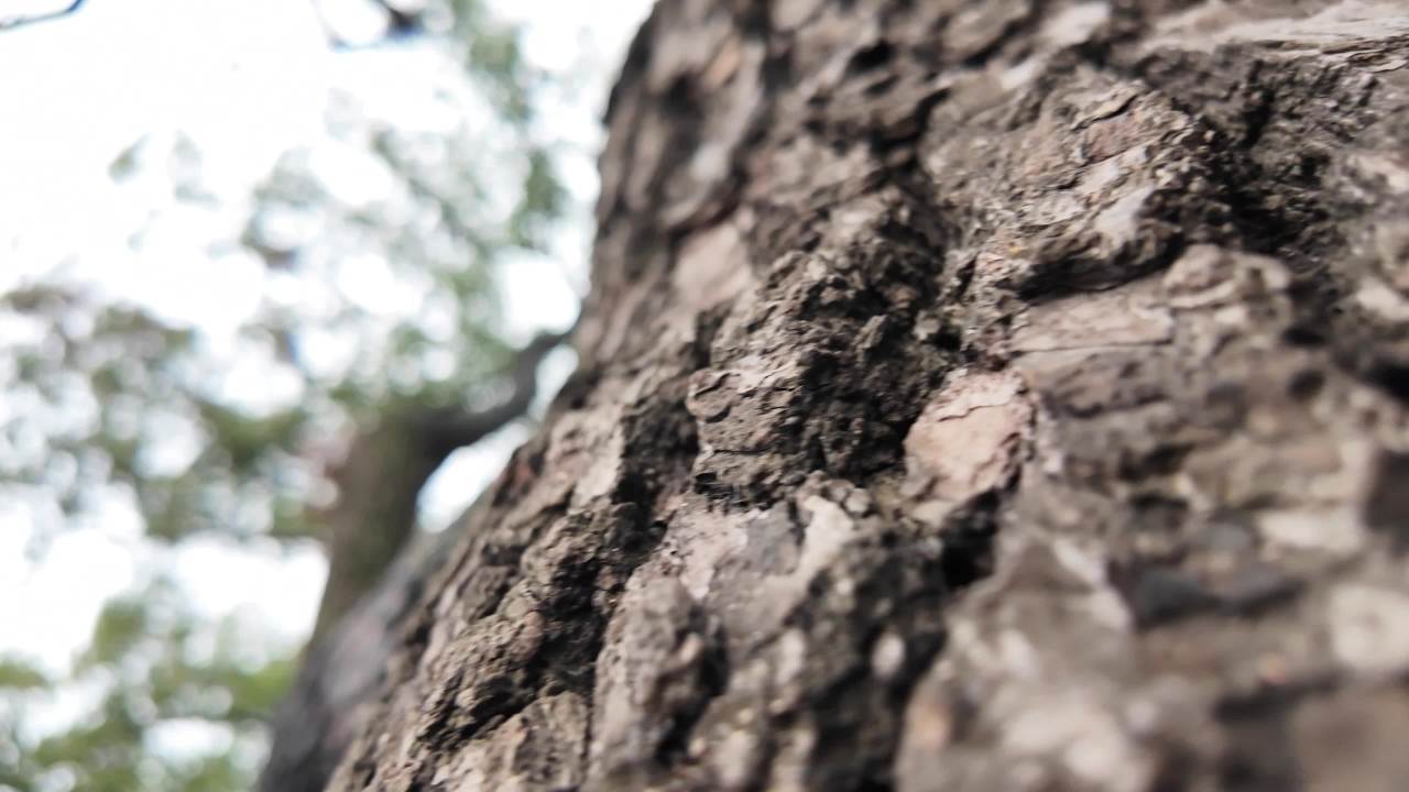 长沙 12