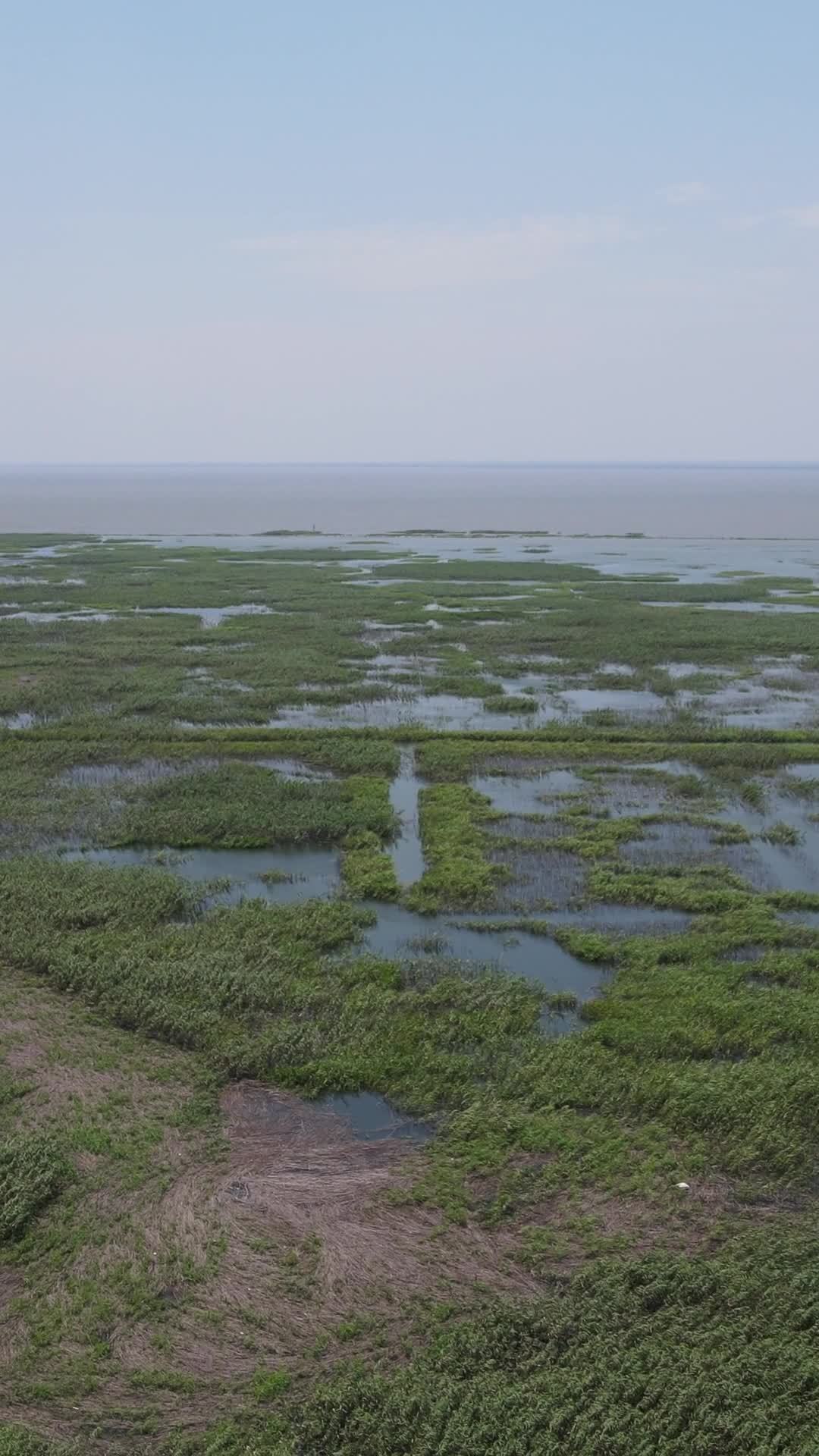 湿地风光