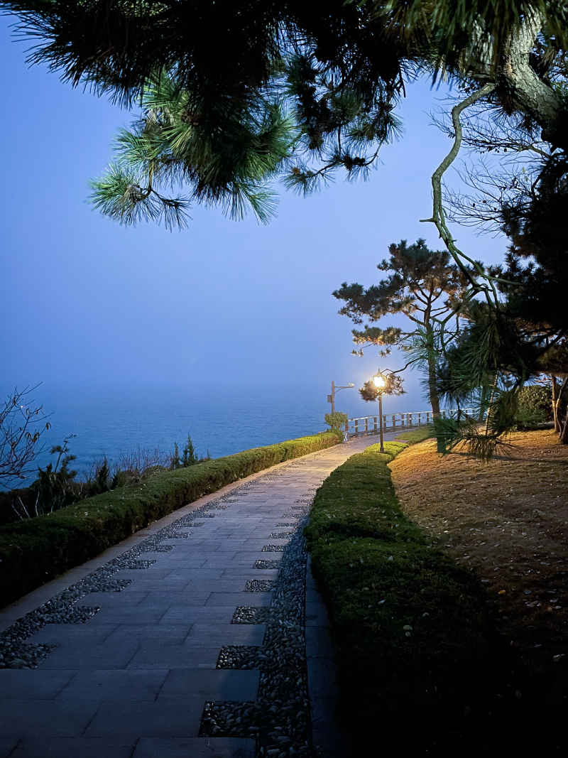 青岛燕儿岛山公园海边小路傍晚蓝调时刻