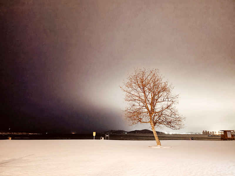 雪夜