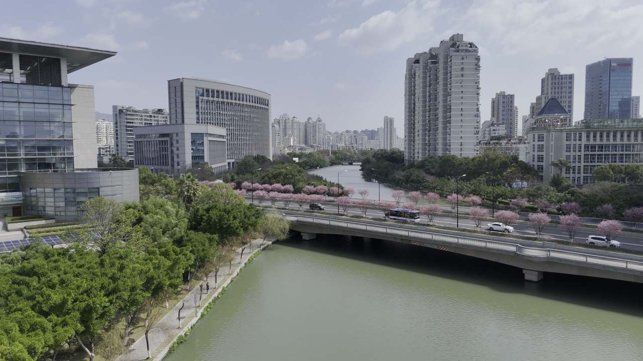 城市河畔的春天