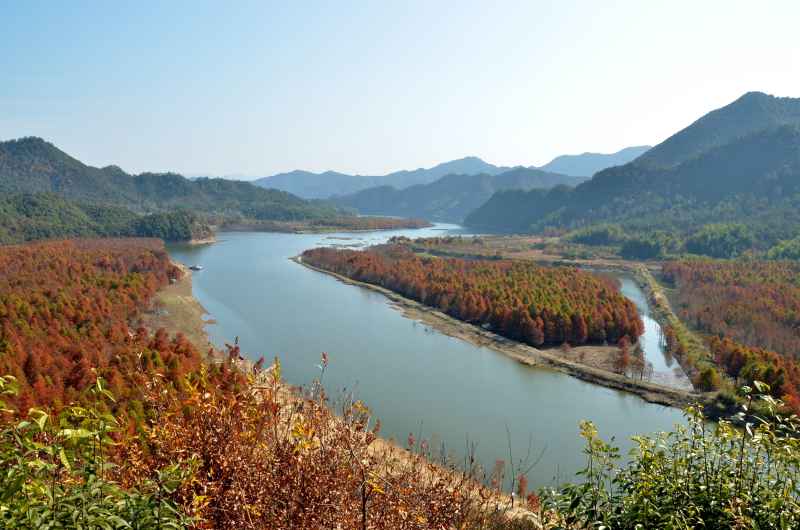 皖南川藏线 秋叶树林 11