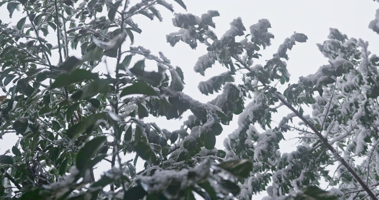 湖南长沙岳麓山爱晚亭城市雪景风光 14