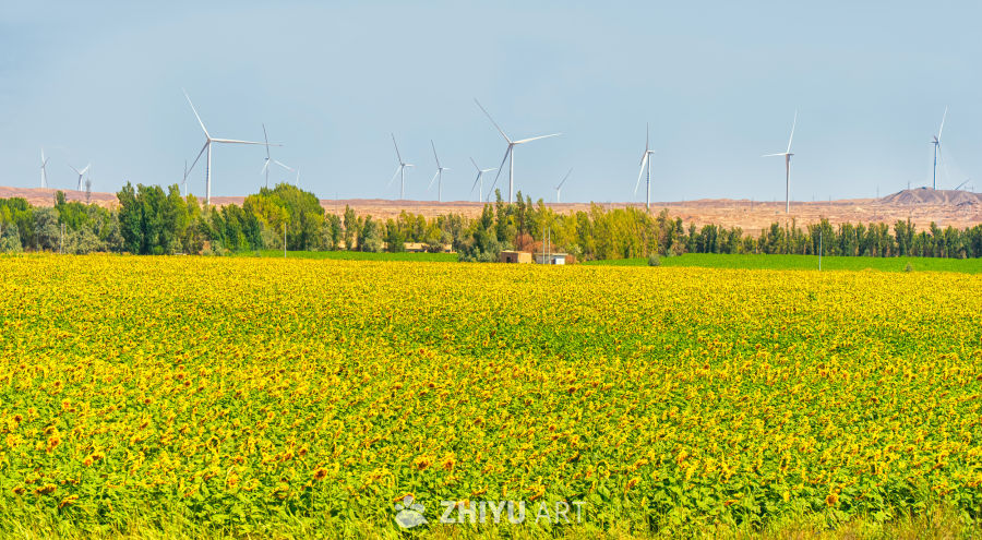 M3_01801 拷贝-DeNoiseAI-clear