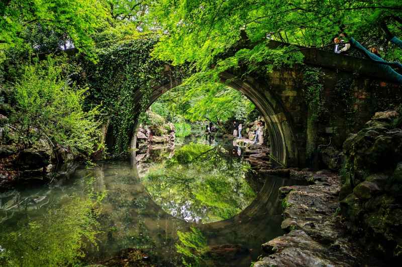 杭州 西湖 美景 绿野仙踪 春天 夏天 柳浪闻莺 网红桥 网红打卡 拍照 手机 摄影 桥 河水 倒影 树 树林 