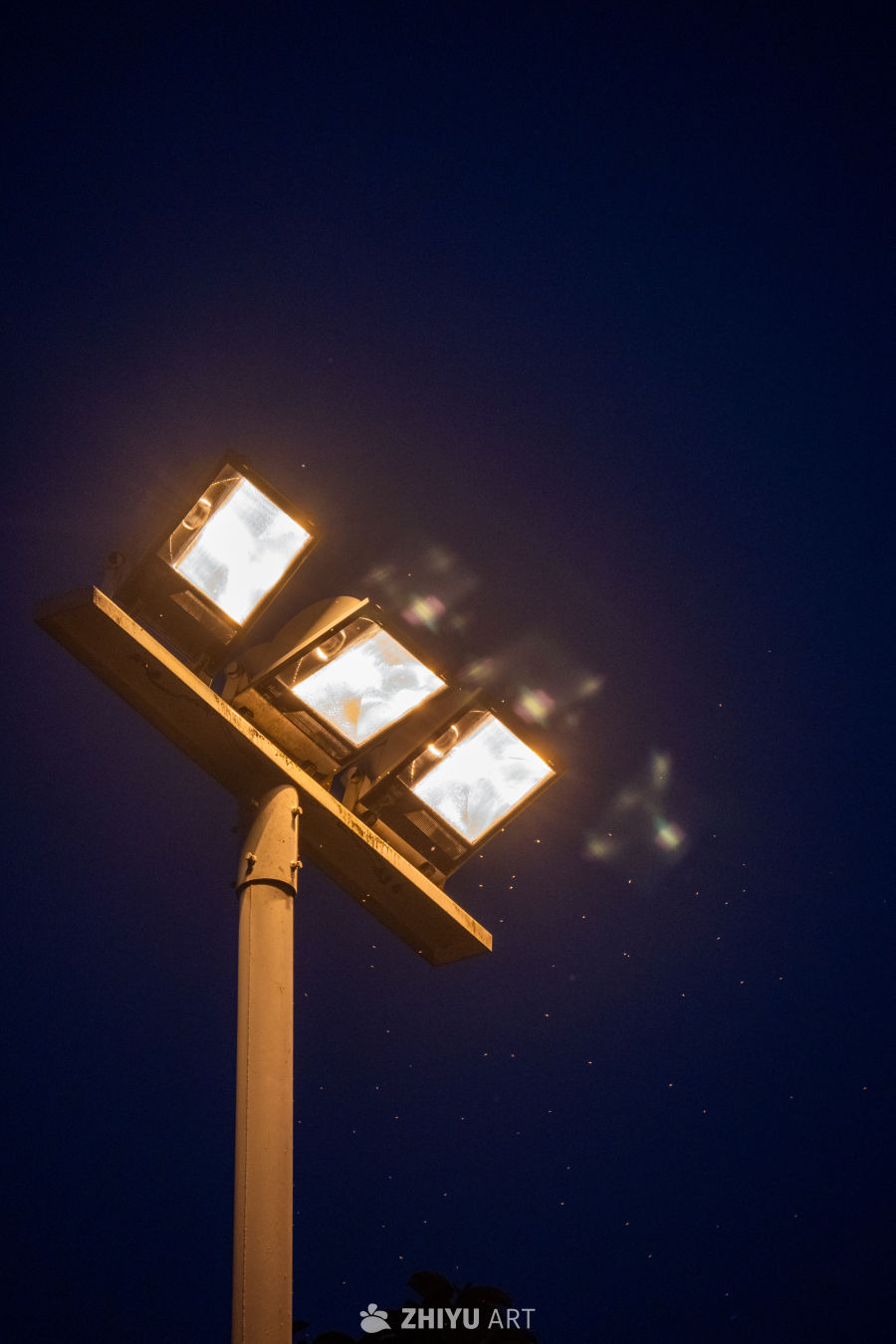 夜色中的路灯