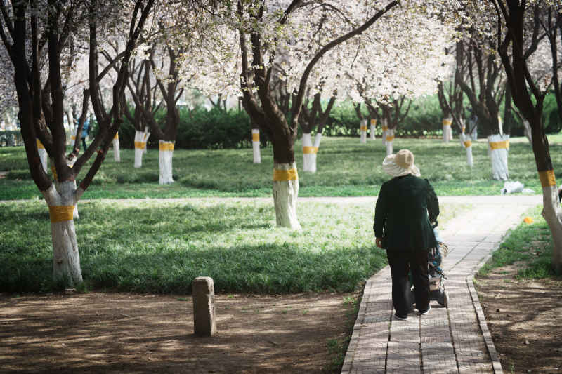 春天，在公园里散步的老人